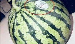 网红吃瓜人员,网红吃瓜达人带你揭秘娱乐圈幕后真相